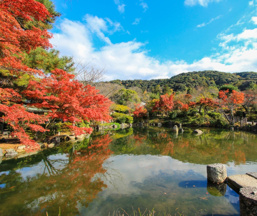 Công viên Maruyama