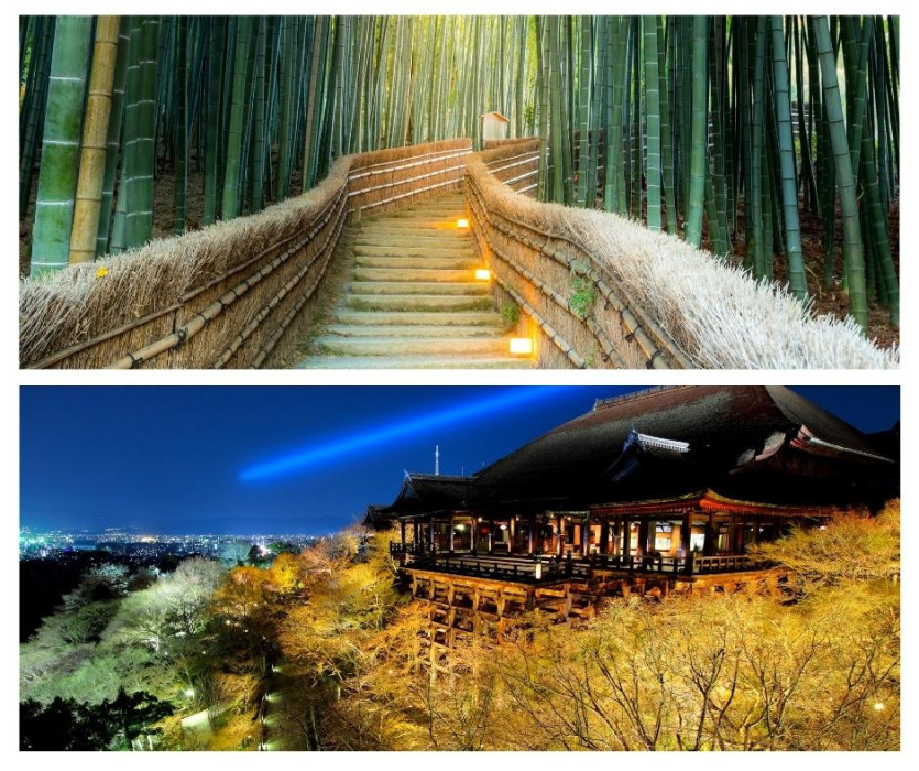 Sự kiện theo mùa ở rừng trúc Kyoto