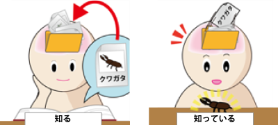 시루 싯테이루 이미지