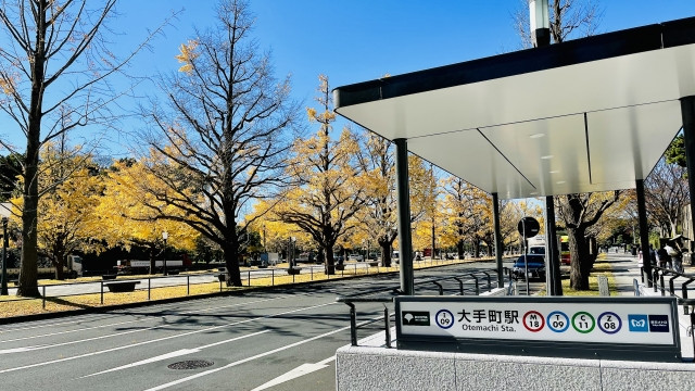 도쿄 메트로 패스, JR 패스 이미지