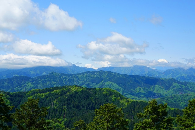 1. 高尾山（東京）